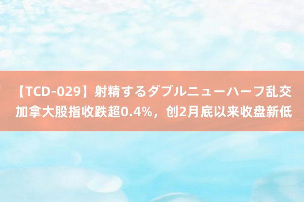 【TCD-029】射精するダブルニューハーフ乱交 加拿大股指收跌超0.4%，创2月底以来收盘新低