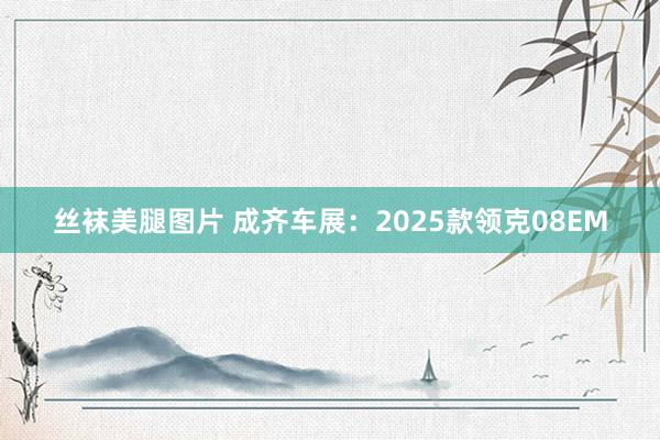 丝袜美腿图片 成齐车展：2025款领克08EM