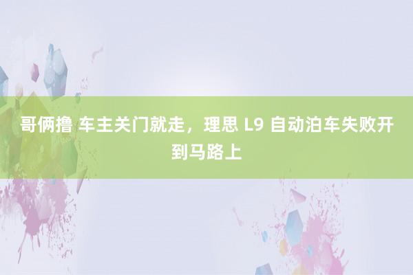 哥俩撸 车主关门就走，理思 L9 自动泊车失败开到马路上